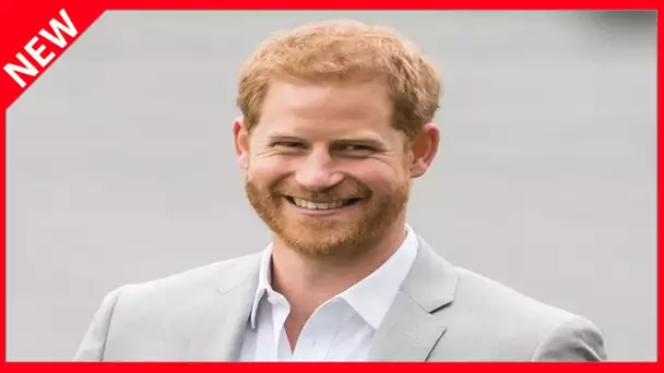 ✅  Le prince Harry décroche (encore) un nouveau job, le 2e en 48h !