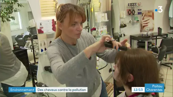 Charente-Maritime : quand les cheveux aident à lutter contre la pollution aux hydrocarbures