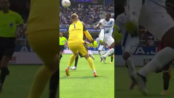 La passe dé de Donovan Léon, l'explosion de joie de l'Abbé-Deschamps 🥰 #ligue1 #football #ajauxerre