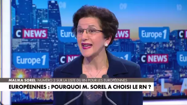 Élections européennes : «Rejoindre la liste du Rassemblement national était une évidence», assure…