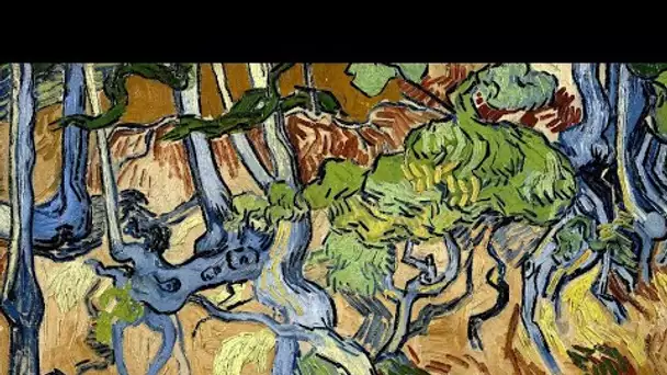 L'ultime tableau de Vincent van Gogh éclaire les dernières heures du peintre