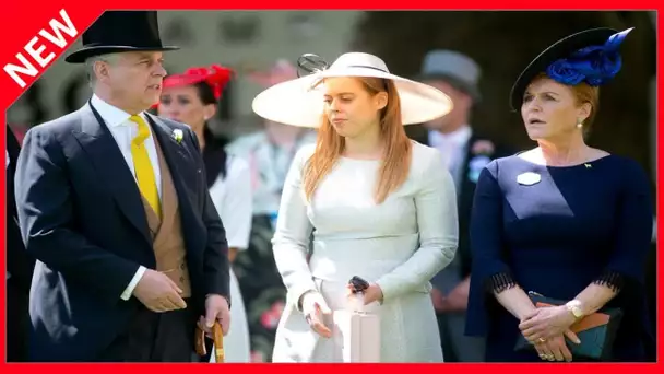 ✅  A cause du prince Andrew, la princesse Beatrice envisage de vivre en Italie