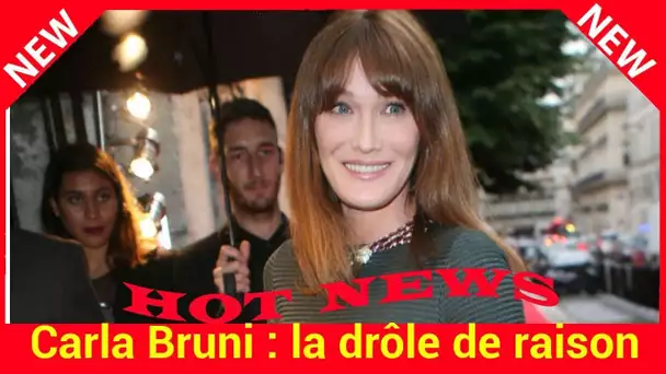 Carla Bruni : la drôle de raison pour laquelle elle n'a pas assisté au Gala du Met