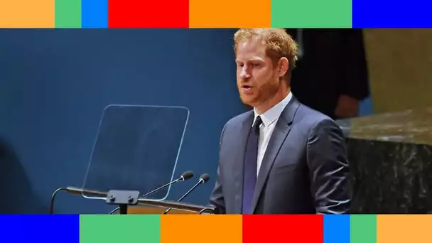 Prince Harry mécontent de sa protection : l'ex-chef de la police sort de ses gonds