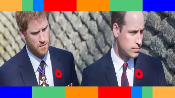 Le prince William inquiet : Harry est trop bavard