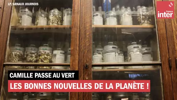 Les bonnes nouvelles de la planète du 21 janvier 2022