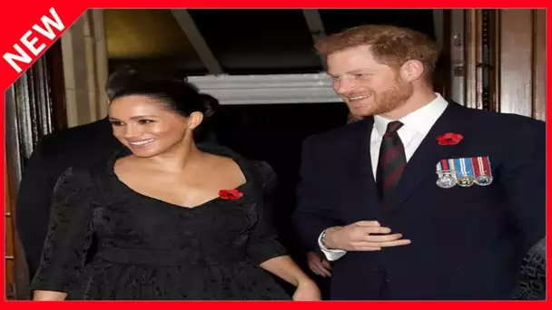 ✅  Harry et Meghan sous contrat avec Netflix : la reine ne leur donne pas carte blanche