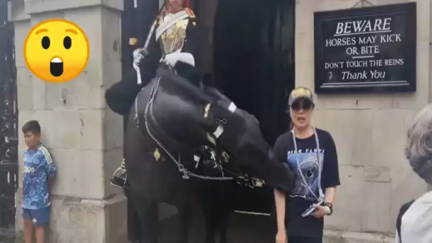 Une touriste mordue par un cheval de la garde royale britannique, elle s'effondre