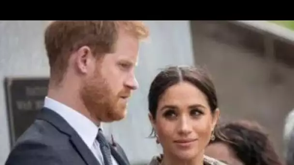 Meghan Markle et le prince Harry "contre le monde" - mais le couple fait face à la vie "en équipe"