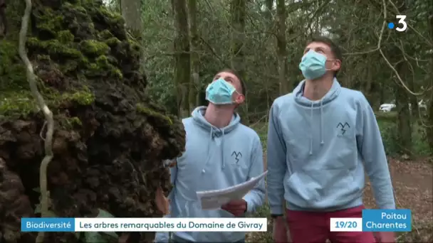 Ligugé : marche découverte dans la forêt de Givray