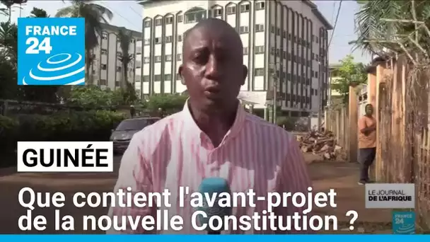 Nouvelle constitution en Guinée : lancement d'une campagne de vulgarisation • FRANCE 24