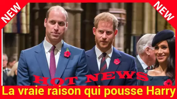 La vraie raison qui pousse Harry et Meghan à se séparer de Kate et William