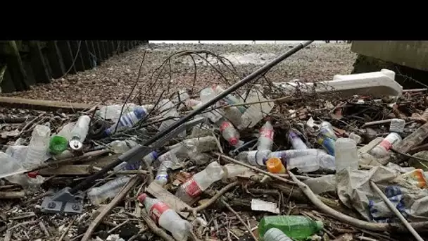 Sur les plages et en mer, la pollution plastique persiste