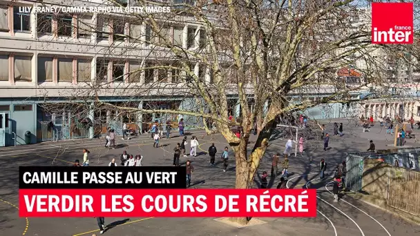 Verdir les cours de récré - Camille Passe au Vert