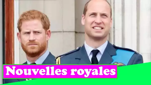 La querelle entre Harry et William s'aggrave - "pas de réconciliation" après l'événement Diana