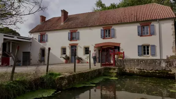 La farine du nouveau moulin de Sabathier à Conchez de Béarn