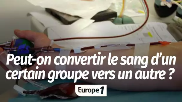 Transfusion sanguine : convertir le sang d'un certain groupe vers un autre, c'est possible