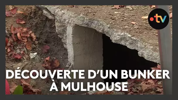 Un bunker datant de la Seconde Guerre mondiale a été découvert à Mulhouse