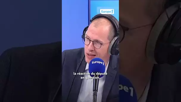 Les députés "délinquants" de la France Insoumise #shorts #lfi #europe1