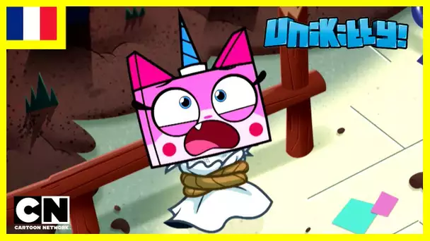 Unikitty en Français 🇫🇷| Le Roi des Skateurs