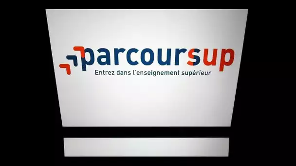 Parcoursup : "Le coronavirus, le bac... Ces trucs se rejoignent et du coup on est confus"