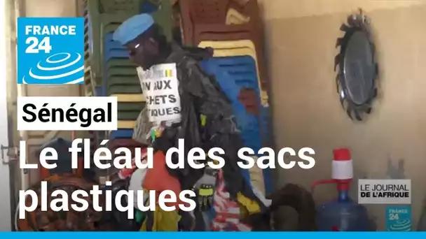 Sénégal : le fléau des sacs plastiques • FRANCE 24