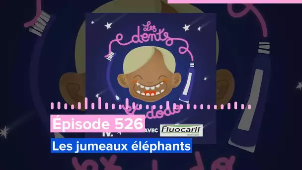 Les dents et dodo - Épisode 526 : Les jumeaux éléphants