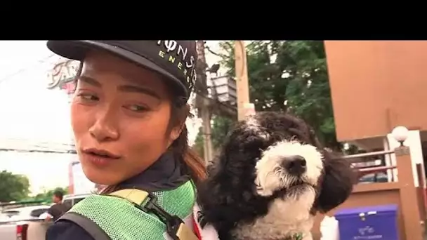 Son chien sur le dos, elle nettoie les rues de Bangkok