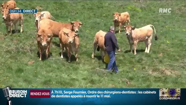 "On est en décalage avec la France": en Lozère, les habitants souhaitent un déconfinement rapide