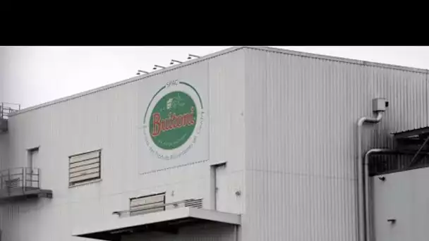 Pizzas Buitoni : le PDG de Nestlé France présente ses excuses et annonce un fonds pour les victimes