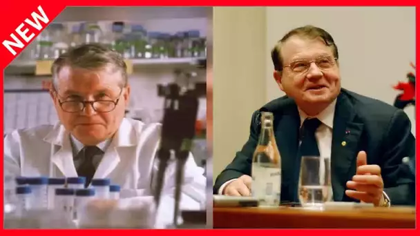 ✅  Le professeur Luc Montagnier critiqué : sa théorie sur le coronavirus fait polémique