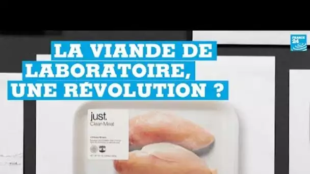 Du laboratoire à l’assiette : comment fabrique-t-on la viande de synthèse ?