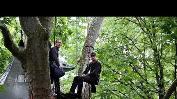 A Paris, un homme en grève de la faim pour la défense des arbres