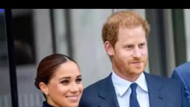 'Epuisé par ça!' Les fans royaux désespérés par les combats juridiques de Harry et Meghan au Royaume