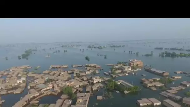 Inondations au Pakistan : les femmes démunies face au risque sanitaire • FRANCE 24