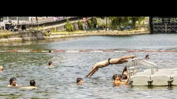 L'épreuve de nage dans la Seine pour les JO et Jacques Angelvin, le vrai «Corniaud» de la «French…