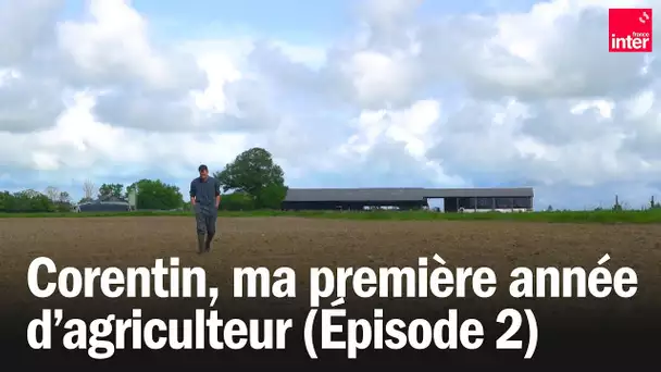 Corentin, ma première année d'agriculteur - Épisode 2 : le printemps