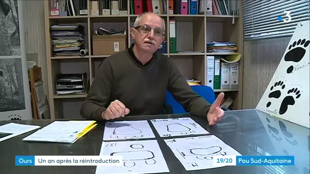 Quel bilan du FIEP un an après le lâcher de Claverina et Sorita ?