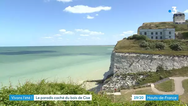 LE PARADIS CACHÉ DU BOIS DE CISE