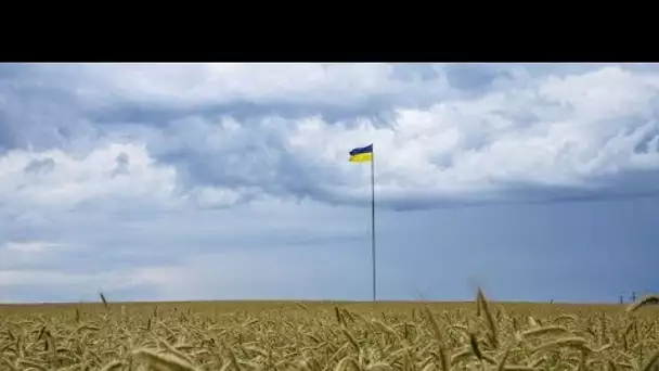 La Pologne et l'Ukraine vont discuter au sujet des céréales ukrainiennes