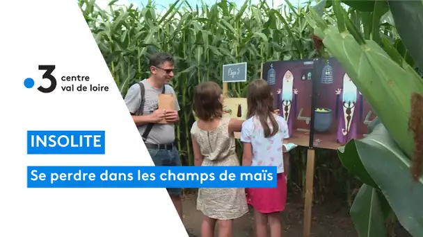 Véretz : un champ de maïs transformé en labyrinthe à énigmes