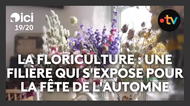 La floriculture : une filière qui s'expose pour la fête de l'automne