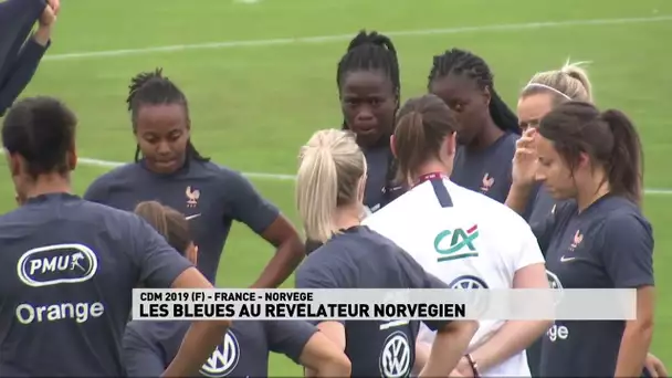 Les Bleues au révélateur norvégien