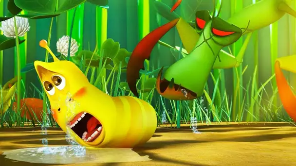 LARVA | BABY LARVA DANGER | Cartoon pour les enfants | WildBrain