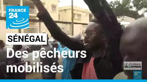 Sénégal : des pêcheurs attaquent en justice une usine de transformation de poissons • FRANCE 24