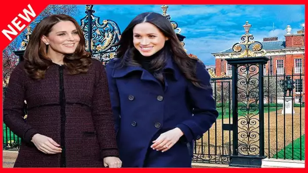 ✅  Kate Middleton et Meghan Markle « pas amies mais professionnelles »: cet effort auquel elles cons