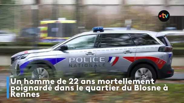 Un homme de 22 ans mortellement poignardé dans le quartier du Blosne à Rennes