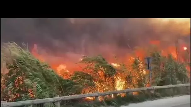 Le feu est maîtrisé sur la Côte bleue, dans les Bouches-du-Rhône