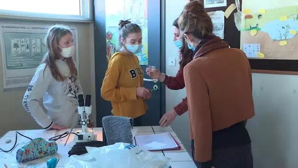 Sciences : comment l'école peut séduire les jeunes filles