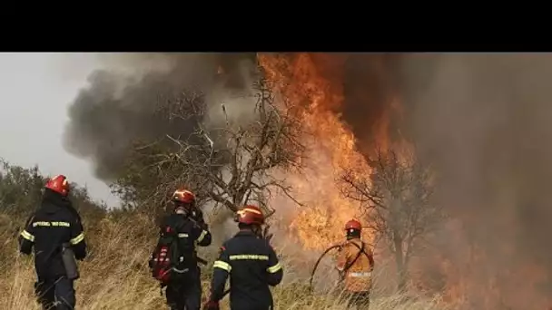 La Grèce toujours en proie aux incendies près de Corinthe